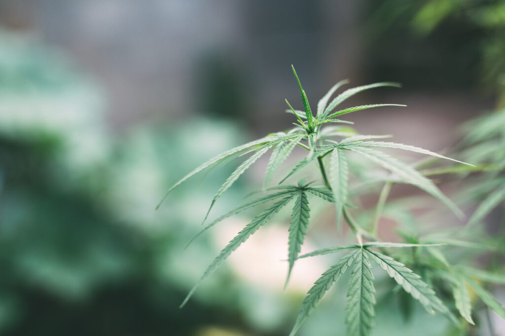 Carl Esprey personal website - home page image 2